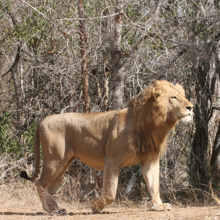 , Unbounded Namibia Safaris &amp; tours